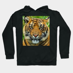 Tiger Face Mask Hoodie